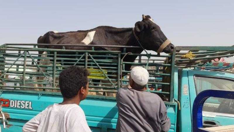 الزراعة: فحص 165 ألف رأس و53 ألف طائر في 400 قرية خلال يونيو