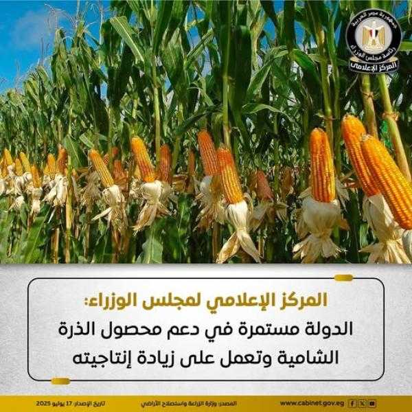 إعلامي الوزراء: الدولة مستمرة في دعم محصول الذرة الشامية وتعمل على زيادة إنتاجيته