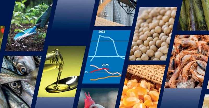 معلومات الوزراء: نمو استهلاك السلع الزراعية والأسماك بنسبة 13% بحلول عام 2034