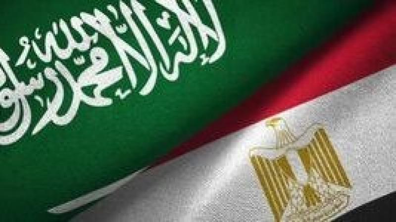 أستاذ علوم سياسية: القاهرة تسعى لدحض كافة سيناريوهات التفكك الإقليمي
