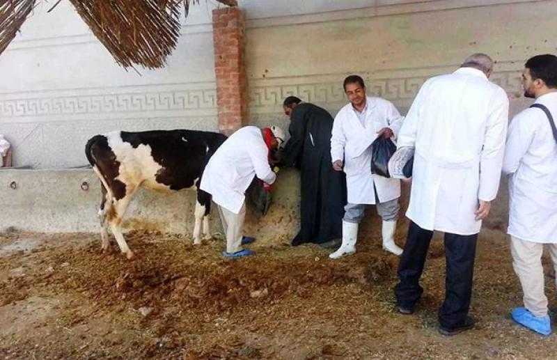 انطلاق الحملة القومية الثالثة ضد الحمى القلاعية والوادي المتصدع بالمنوفية.. غدا