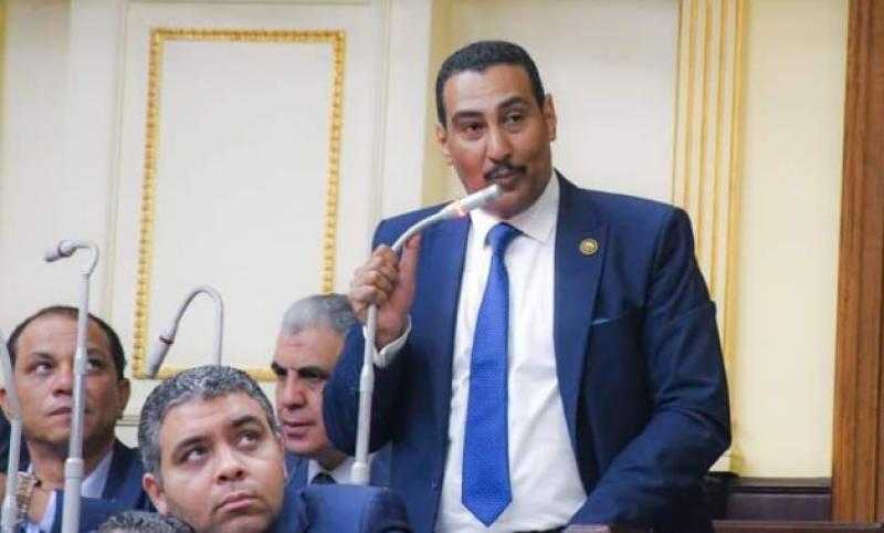 الجبلاوي: زيارة وزير الخارجية السعودي للعلمين تجسد شراكة استراتيجية وعلاقات صلبة في مواجهة التحديات