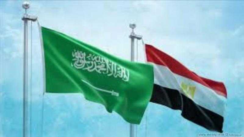 أستاذ علاقات دولية: مصر والسعودية تتدخلان للحفاظ على وحدة الدول