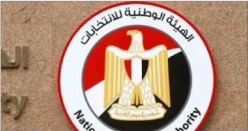 الهيئة الوطنية للانتخابات تقيد 4 منظمات مدنى محلية لمتابعة انتخابات مجلس الشيوخ