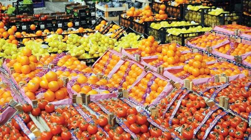 الزراعة: الصادرات المصرية تحقق 7 ملايين طن بزيادة أكثر من 650 ألف طن