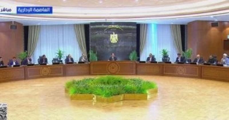 المستشار محمود فوزي: تحرير العلاقة بين المالك والمستأجر لا تعنى الطرد