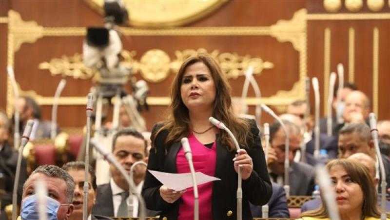 نائبة الشيوخ: مصر تقود تحركًا عربيًا إسلاميًا لوقف العدوان على غزة