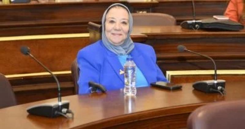 نائبة: الدولة المصرية تقف شامخة بفضل الله ثم بجهود الرئيس السيسي ورؤيته