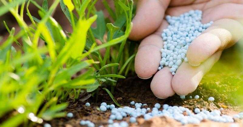 أسعار الأسمدة بالأسواق والجمعيات الزراعية اليوم الثلاثاء 12 أغسطس 2025