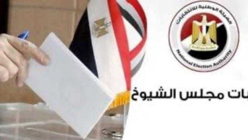 انطلاق جولة الإعادة بانتخابات مجلس الشيوخ في الخارج.. غدًا