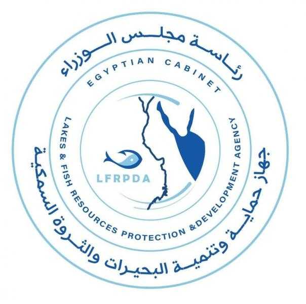 ”جهاز حماية وتنمية البحيرات” يطلق الدفعة الثالثة من يرقات الجمبري في بحيرة قارون