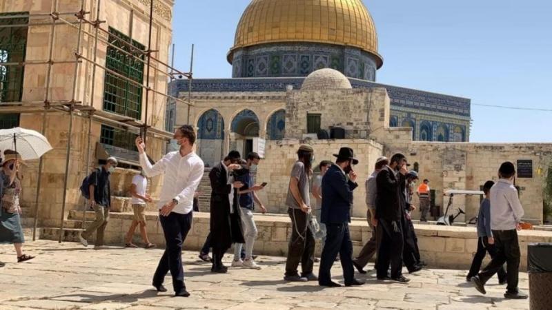 مستوطنون يقتحمون باحات المسجد الأقصى بحماية شرطة الاحتلال الإسرائيلي