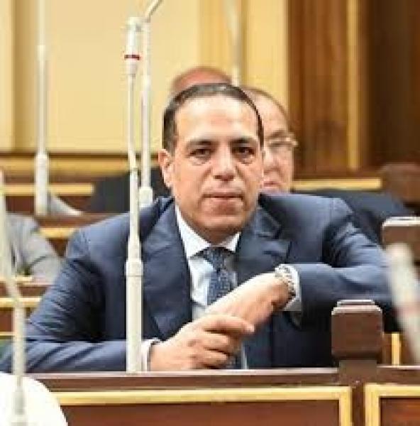 نائب: مصر تلعب دورا بارزا وتقود جهودا دبلوماسية كبيرة لإنهاء حرب غزة