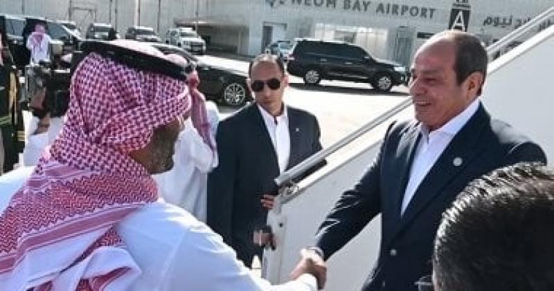 الرئيس السيسى وولى العهد السعودى: نرفض تهجير الفلسطينيين أو إعادة احتلال غزة