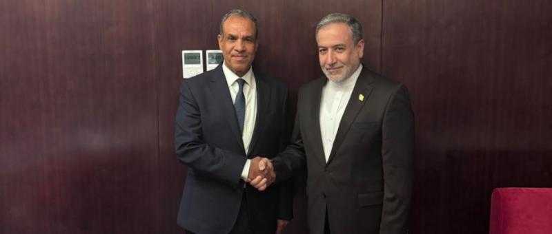 وزير الخارجية يستعرض الجهود التي تبذلها مصر لوقف العدوان الاسرائيلى على الشعب الفلسطيني