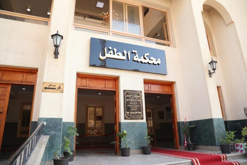 محكمة الطفل تُعاقب التيك توكر ”نور تفاحة” بالحبس عامين