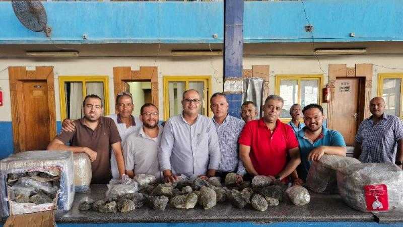 الصادرات الجوية بمطار القاهرة تحبط محاولة تهريب كمية من الأحجار الكريمة النادرة