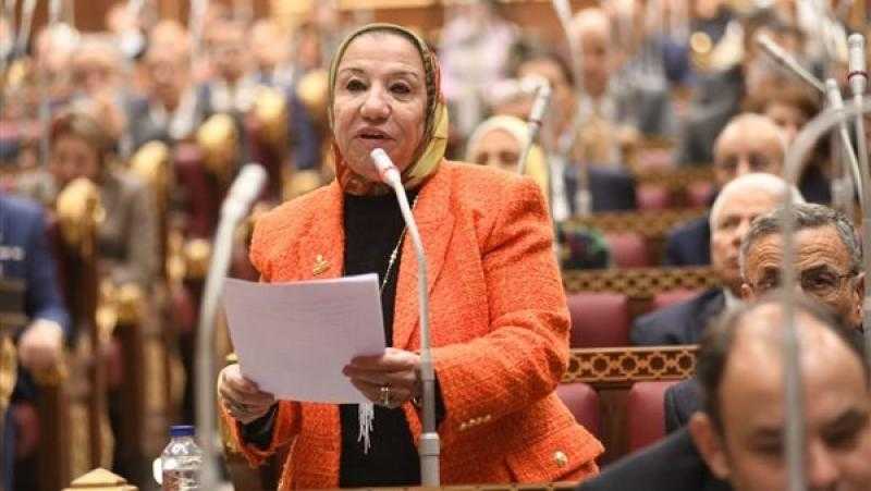 النائبة حياة خطاب: مصر قوية وتتعامل بالمثل في علاقاتها الدولية