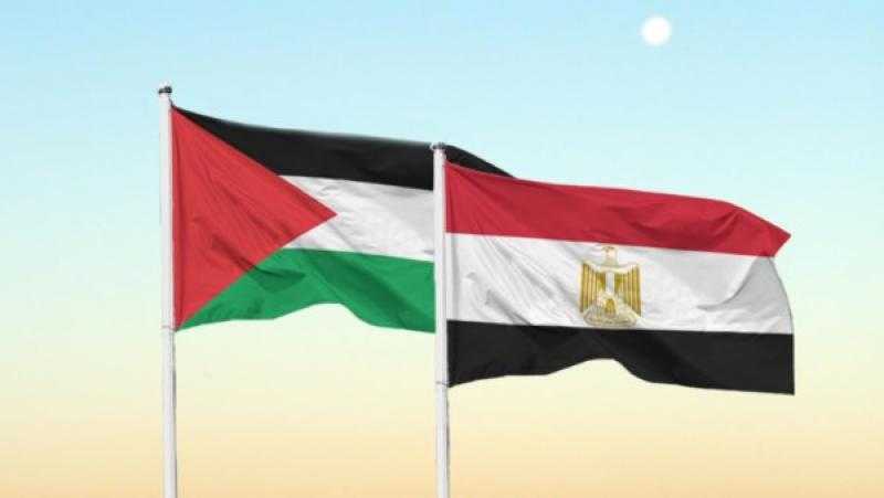 أستاذ علاقات دولية: مصر تمثل عقبة حقيقية أمام المشروع الإسرائيلي لتصفية القضية الفلسطينية