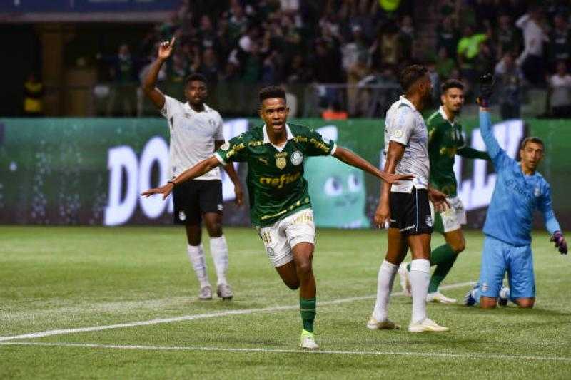 بالميراس يواصل مطاردة فلامنجو في صدارة الدوري البرازيلي