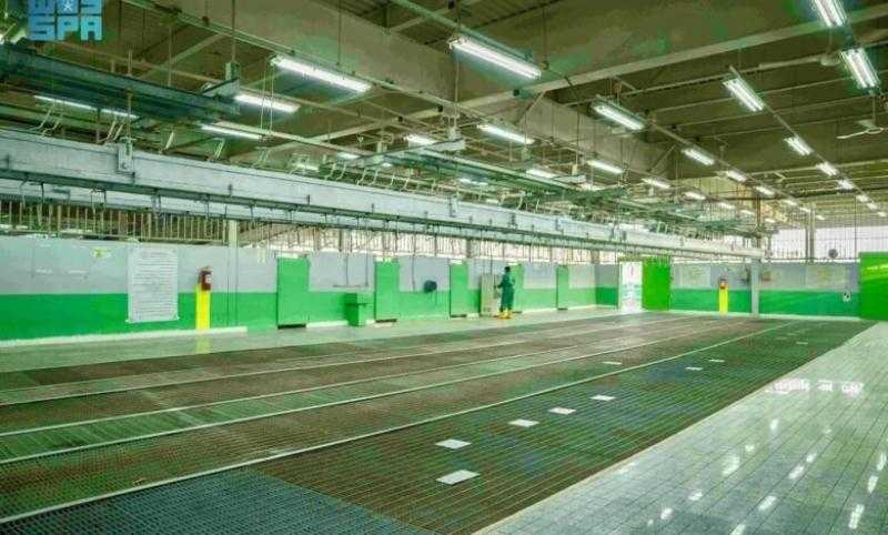 السعودية .. مشروع الهدي والأضاحي يحقق توسعًا غير مسبوقًا خلال موسم حج 1446هـ