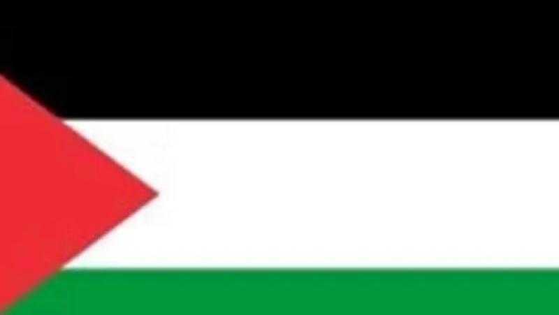 السفير ماجد عبد الفتاح: 13 دولة جديدة تعترف بفلسطين اليوم وضغوط عربية على أمريكا