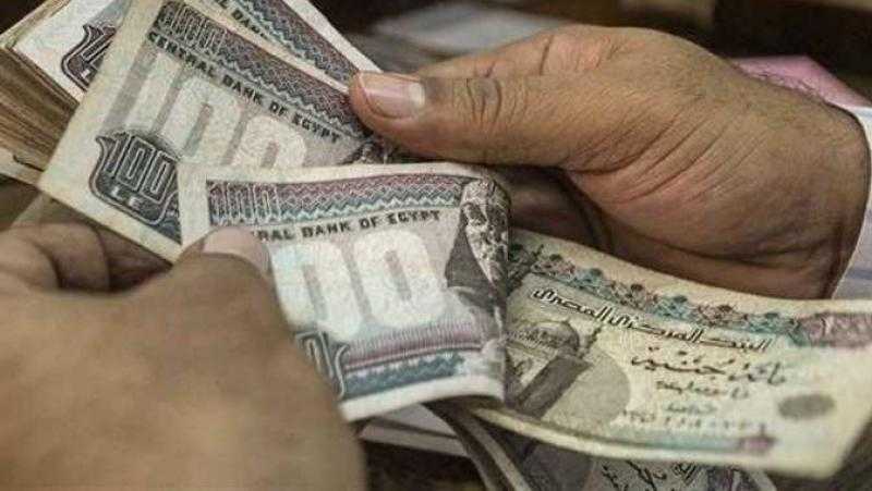 وزارة العمل: 60 فرصة عمل للفتيات بشركتين في القطاع الخاص