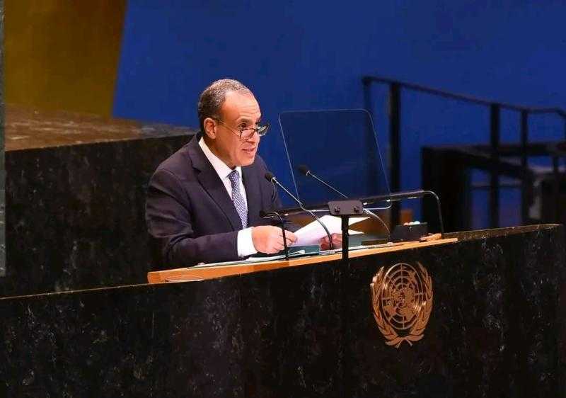 وزير الخارجية: رؤية مصر هو أنه لا حلول عسكرية لأي نزاع في المنطقة