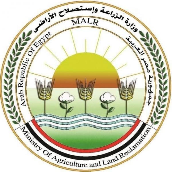”الزراعة”: دعوات الامتناع عن إطعام الكلاب الضالة سلوك مخالف للشرع والقانون