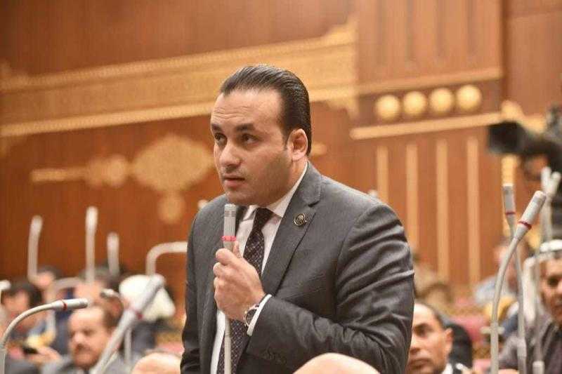 برلماني: نجاح الوساطة المصرية في إنهاء حرب غزة إنجاز تاريخي وانتصار جديد يعكس مكانة مصر