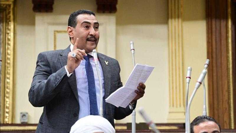 برلماني: اتفاق شرم الشيخ نجاج لجهود مصر في وقف نزيف الدم الفلسطيني