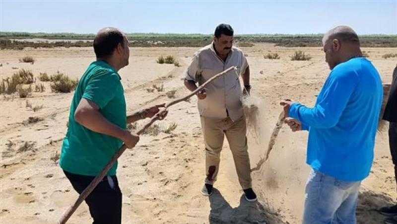 البيئة تعلن إزالة 18 ألف متر من الشباك المخالفة لحماية الطيور المهاجرة