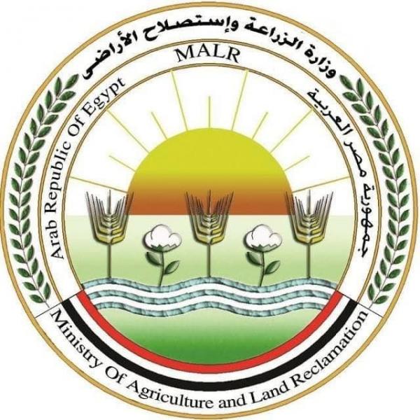 ”الزراعة” تنتهي من فحص تقاوي البطاطس لـ ”العروة الشتوية التصديرية” بالكامل.. بكمية تتجاوز 320 ألف طن