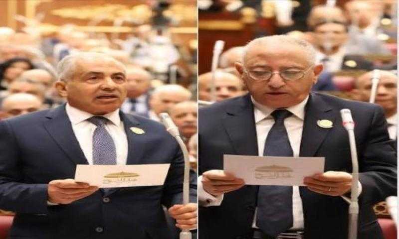 اللواء أحمد العوضي والمستشار فارس سعد يفوزان بمنصب وكيلي مجلس الشيوخ