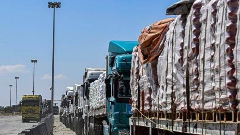 التحالف الوطني: استمرار تدفق شاحنات الدعم الإغاثى إلى قطاع غزة