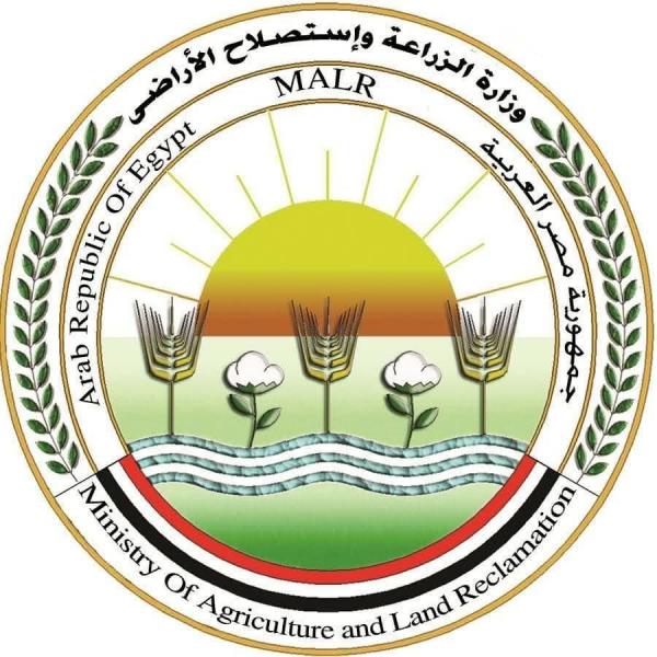 ”الزراعة”: فيديو حالات نفوق الماشية المتداول على وسائل التواصل الاجتماعي مزيف.. الوضع الوبائي للثروة الحيوانية في مصر آمن ومطمئن