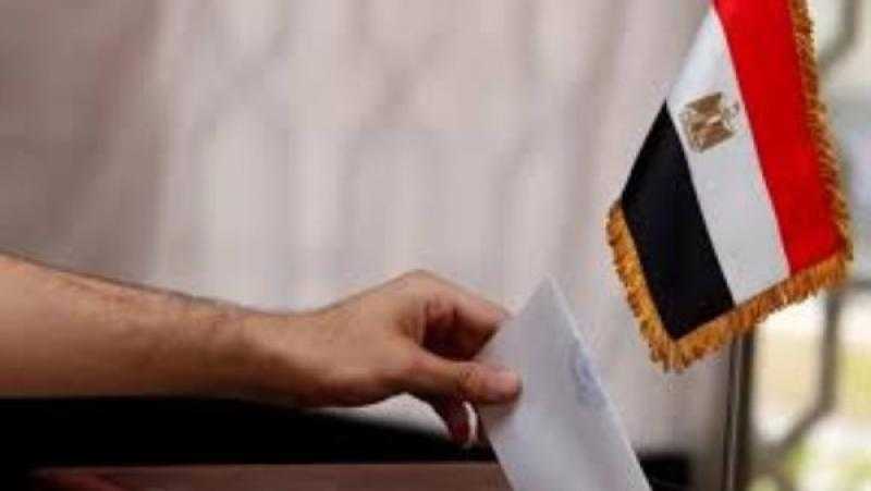 فتح باب التصويت في قنصليتي مصر بشيكاغو وهيوستن بانتخابات «النواب» لليوم الثاني