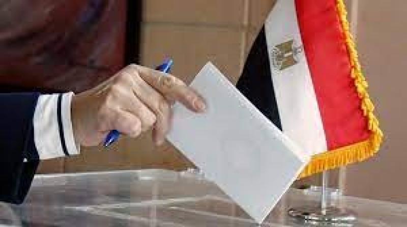 غلق باب التصويت بقنصليات مصر فى شيكاغو وهيوستن ولوس أنجلوس بانتخابات ”النواب”