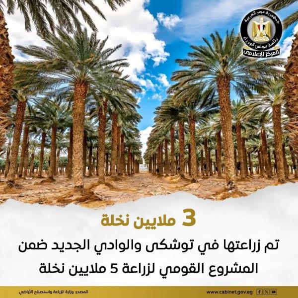 المشروع القومي لزراعة 5 ملايين نخلة نجح في زراعة 3 ملايين نخلة في توشكى والوادي الجديد