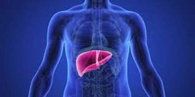 لا تهمل الإرهاق فى هذه الحالة.. 9 علامات مبكرة لـ تليف الكبد