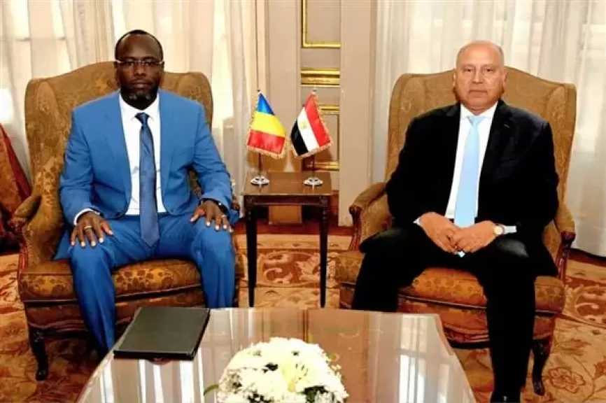 كامل الوزير يبحث مع وزراء تشاد تعزيز التعاون في النقل والصناعة واللوجستيات| صور