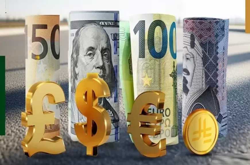 أسعار العملات مقابل الجنيه المصري في البنوك اليوم الثلاثاء 18-11-2025