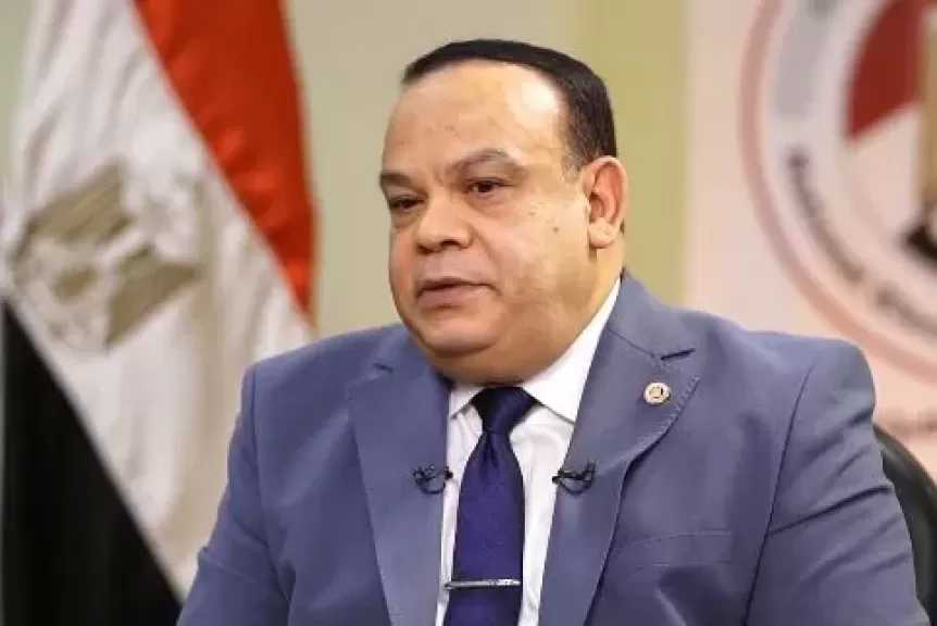 نتيجة انتخابات مجلس النواب بالوادي الجديد.. الدائرتان نحو جولة إعادة