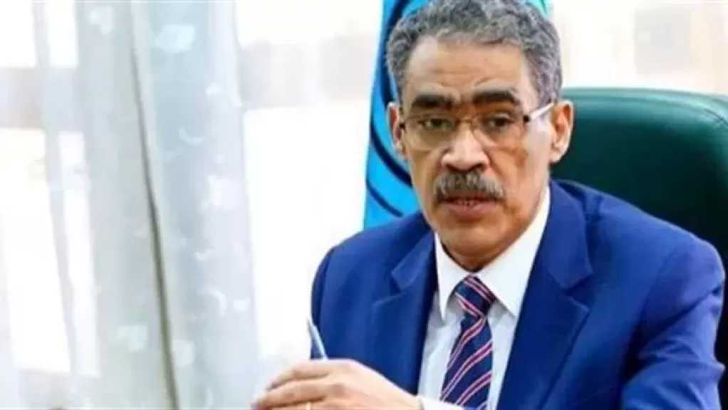 ضياء رشوان: وجود قوة دولية لحفظ الاستقرار بغزة يضمن عدم تكرار العدوان