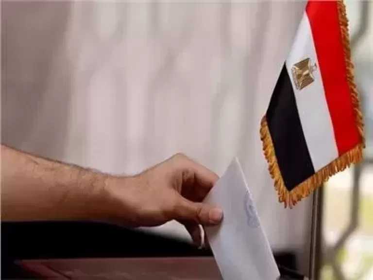 بدء التصويت في قنصليات مصر بشيكاغو وواشنطن وهيوستن بانتخابات النواب 2025