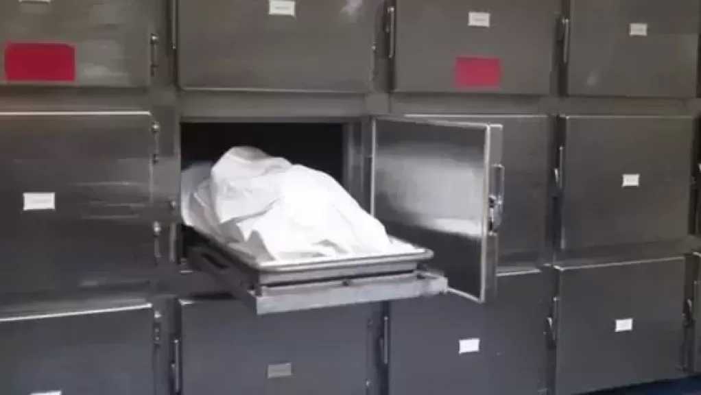 مصرع شخص في حادث تصادم سيارة نقل بالشرقية