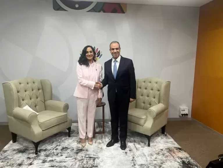 وزير الخارجية يلتقي وزيرة خارجية كندا على هامش قمة مجموعة العشرين بجوهانسبرج