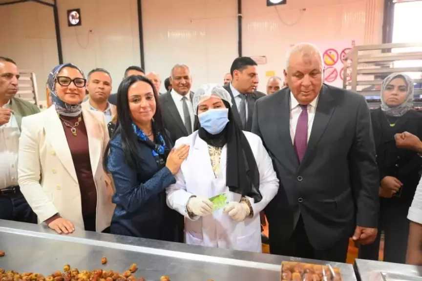 وزيرة التضامن الاجتماعي توجه باستصلاح ٥ آلاف فدان وزراعتهم بالنخيل