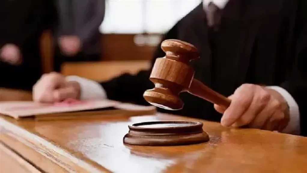 تأجيل محاكمة 21 متهما بخلية اللجان النوعية بأكتوبر لجلسة 17 أكتوبر