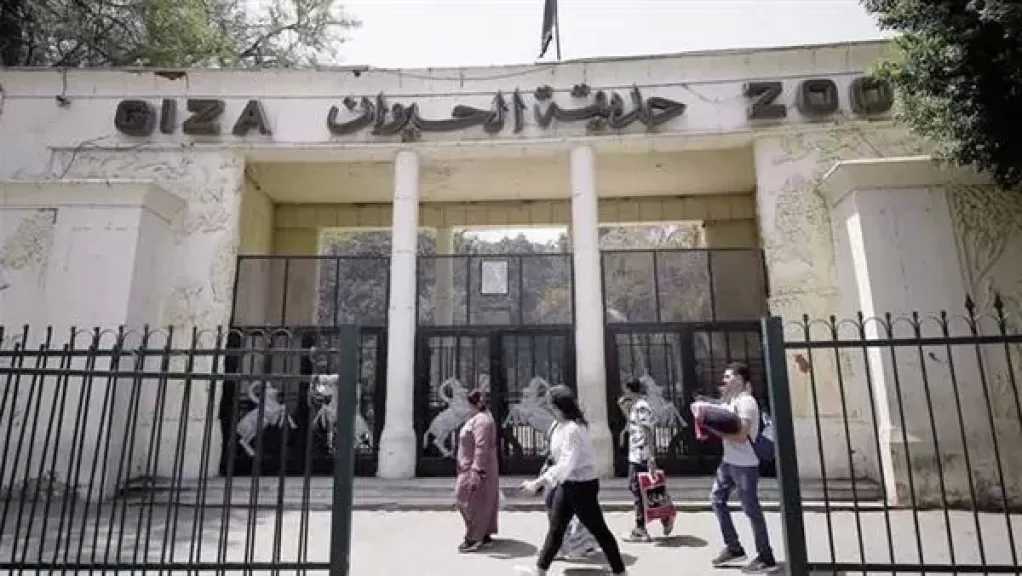 بعد تطويرها.. موعد افتتاح حديقة الحيوان بالجيزة